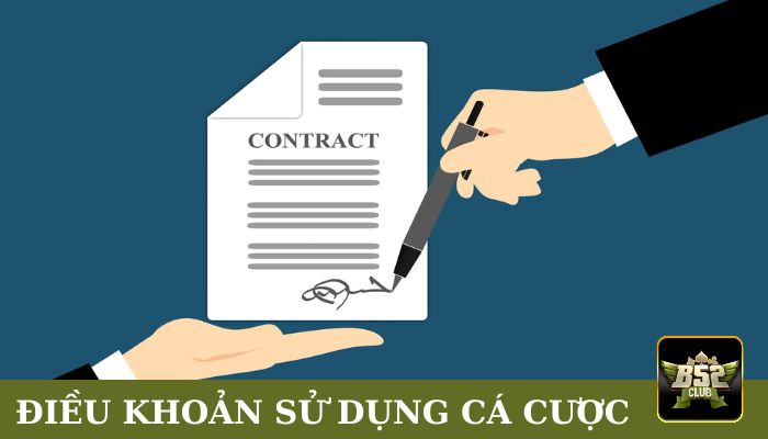 Điều khoản khi sử dụng dịch vụ cá cược 