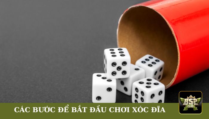 Hướng dẫn các bước để bắt đầu chơi Xóc Đĩa