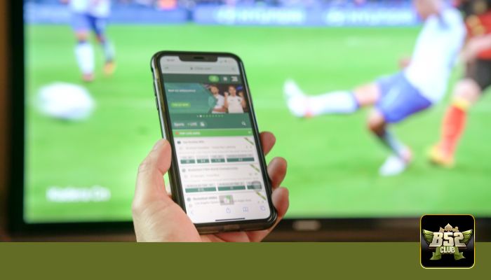 người chơi cá độ luôn thua